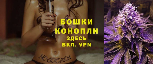 шишки Коряжма